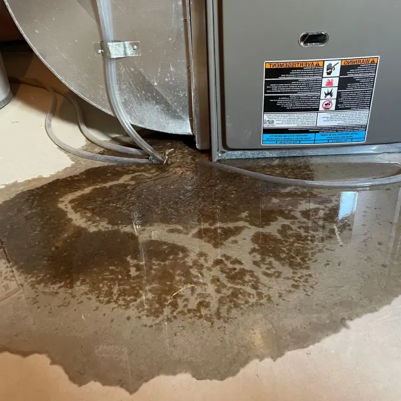 Pipe Burst and Leak Restoration in Cheyenne, WY